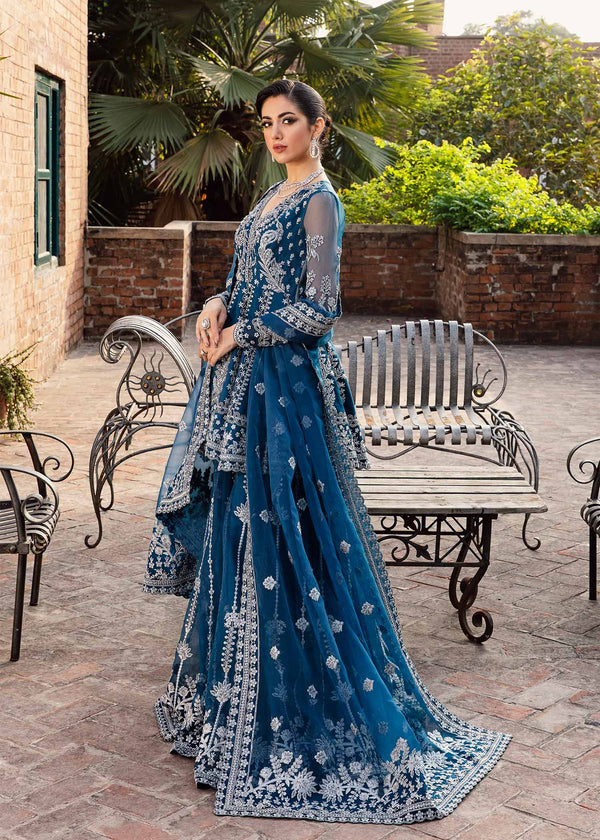 Luxe Chiffon Embroidery Salwar Kameez - Pakistani Dress - C1045D | Fabricoz  USA
